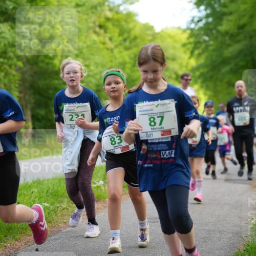 09.05.2026 - Störlauf LAZAROV Photography http://msf.ph/oto/9720034 09.05.2026 13:24:26 Laufen 274, 221, 2020, 83, 2026, 87 meine-sportfotos.de