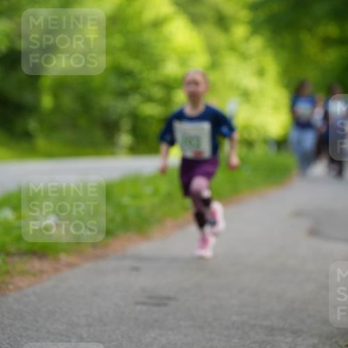 09.05.2026 - Störlauf LAZAROV Photography http://msf.ph/oto/9720114 09.05.2026 13:25:35 Laufen  meine-sportfotos.de