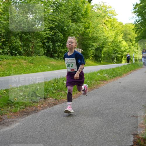 09.05.2026 - Störlauf LAZAROV Photography http://msf.ph/oto/9720121 09.05.2026 13:25:36 Laufen 302 meine-sportfotos.de