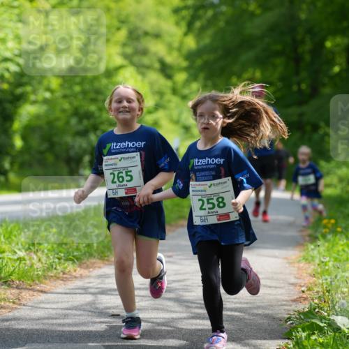 09.05.2026 - Störlauf LAZAROV Photography http://msf.ph/oto/9720159 09.05.2026 13:26:12 Laufen 2026, 265, 2026, 258 meine-sportfotos.de