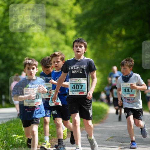 09.05.2026 - Störlauf LAZAROV Photography http://msf.ph/oto/9720191 09.05.2026 13:36:43 Laufen 50, 2026, 407, 447 meine-sportfotos.de