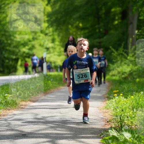 09.05.2026 - Störlauf LAZAROV Photography http://msf.ph/oto/9720237 09.05.2026 13:37:30 Laufen 526 meine-sportfotos.de