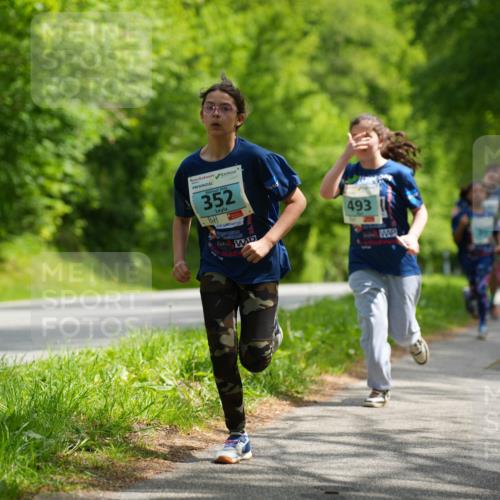 09.05.2026 - Störlauf LAZAROV Photography http://msf.ph/oto/9720292 09.05.2026 13:38:36 Laufen 2021, 352, 493 meine-sportfotos.de