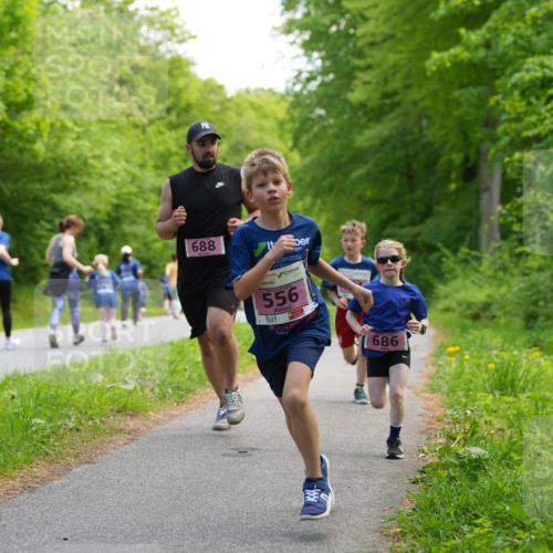 09.05.2026 - Störlauf LAZAROV Photography http://msf.ph/oto/9720435 09.05.2026 13:51:03 Laufen 688, 556, 686 meine-sportfotos.de