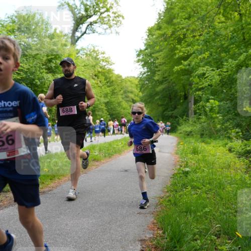 09.05.2026 - Störlauf LAZAROV Photography http://msf.ph/oto/9720436 09.05.2026 13:51:04 Laufen 688, 556, 686 meine-sportfotos.de