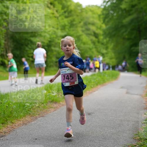 09.05.2026 - Störlauf LAZAROV Photography http://msf.ph/oto/9720453 09.05.2026 13:51:21 Laufen 2026, 745 meine-sportfotos.de