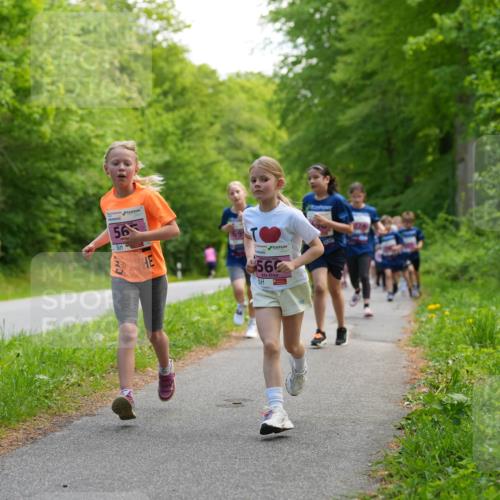 09.05.2026 - Störlauf LAZAROV Photography http://msf.ph/oto/9720528 09.05.2026 13:52:44 Laufen 56, 2026, 56 meine-sportfotos.de