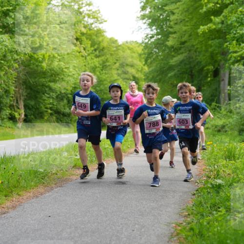 09.05.2026 - Störlauf LAZAROV Photography http://msf.ph/oto/9720534 09.05.2026 13:52:48 Laufen 649, 641, 788, 01, 603, 34 meine-sportfotos.de