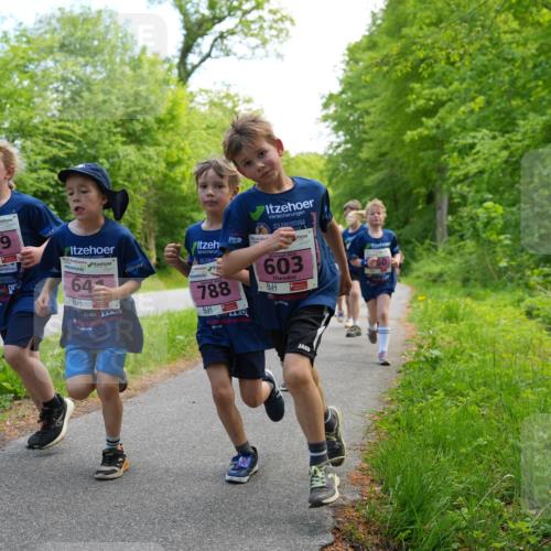 09.05.2026 - Störlauf LAZAROV Photography http://msf.ph/oto/9720537 09.05.2026 13:52:50 Laufen 649, 64, 788, 2026, 603, 60 meine-sportfotos.de