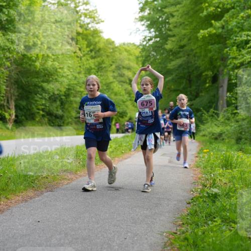 09.05.2026 - Störlauf LAZAROV Photography http://msf.ph/oto/9720542 09.05.2026 13:52:53 Laufen 16, 675 meine-sportfotos.de