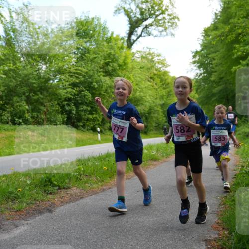 09.05.2026 - Störlauf LAZAROV Photography http://msf.ph/oto/9720579 09.05.2026 13:53:17 Laufen 177, 582, 583 meine-sportfotos.de