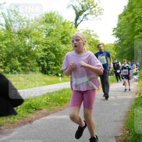 09.05.2026 - Störlauf LAZAROV Photography http://msf.ph/oto/9720676 09.05.2026 13:54:32 Laufen  meine-sportfotos.de