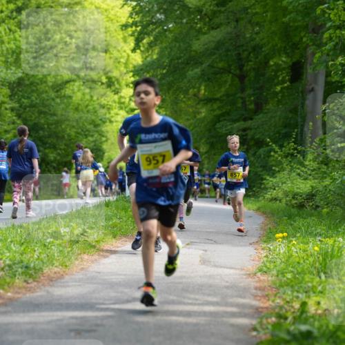 09.05.2026 - Störlauf LAZAROV Photography http://msf.ph/oto/9720824 09.05.2026 14:05:46 Laufen 957, 857 meine-sportfotos.de
