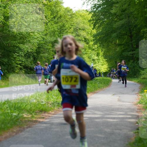 09.05.2026 - Störlauf LAZAROV Photography http://msf.ph/oto/9720846 09.05.2026 14:06:03 Laufen 1072, 949 meine-sportfotos.de