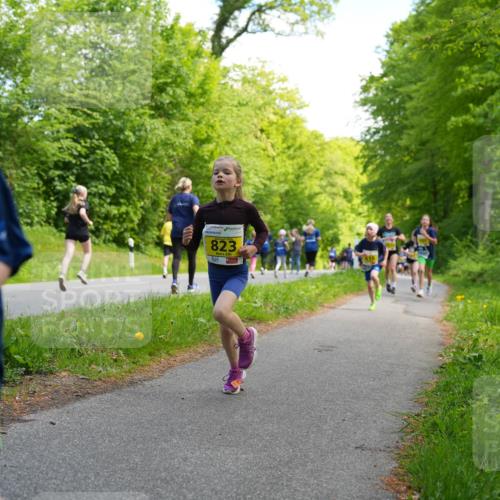 09.05.2026 - Störlauf LAZAROV Photography http://msf.ph/oto/9720885 09.05.2026 14:06:31 Laufen 823, 9 meine-sportfotos.de