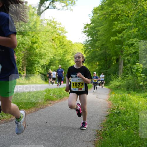 09.05.2026 - Störlauf LAZAROV Photography http://msf.ph/oto/9720892 09.05.2026 14:06:35 Laufen 895, 1027 meine-sportfotos.de
