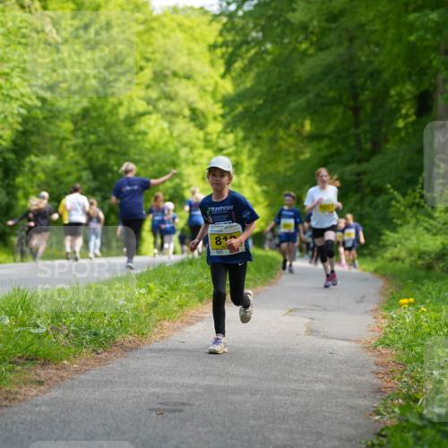 09.05.2026 - Störlauf LAZAROV Photography http://msf.ph/oto/9720894 09.05.2026 14:06:37 Laufen  meine-sportfotos.de