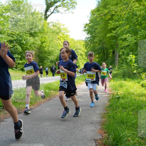 09.05.2026 - Störlauf LAZAROV Photography http://msf.ph/oto/9720909 09.05.2026 14:06:50 Laufen 2026, 860, 829, 39, 886, 967 meine-sportfotos.de
