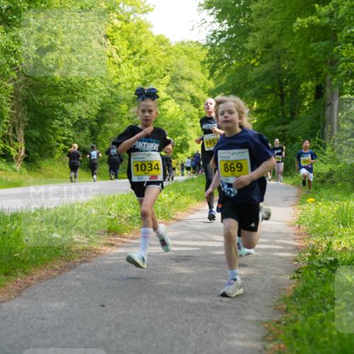 09.05.2026 - Störlauf LAZAROV Photography http://msf.ph/oto/9720915 09.05.2026 14:06:54 Laufen 1034, 105, 869, 934 meine-sportfotos.de