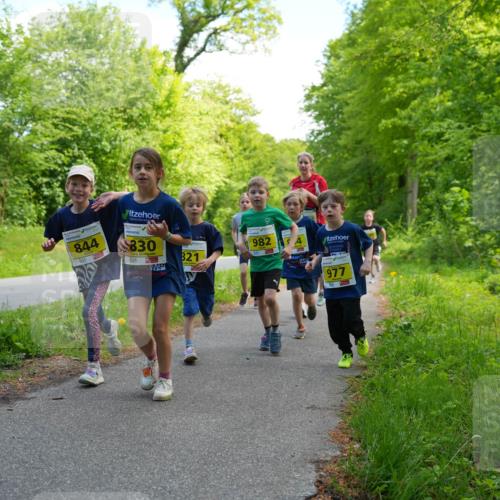 09.05.2026 - Störlauf LAZAROV Photography http://msf.ph/oto/9720966 09.05.2026 14:07:31 Laufen 844, 830, 982, 821, 977 meine-sportfotos.de