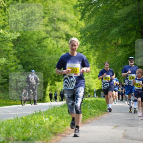09.05.2026 - Störlauf LAZAROV Photography http://msf.ph/oto/9720972 09.05.2026 14:07:37 Laufen 392, 841, 838, 903 meine-sportfotos.de