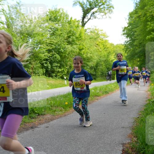 09.05.2026 - Störlauf LAZAROV Photography http://msf.ph/oto/9720993 09.05.2026 14:07:52 Laufen 824, 806, 803 meine-sportfotos.de
