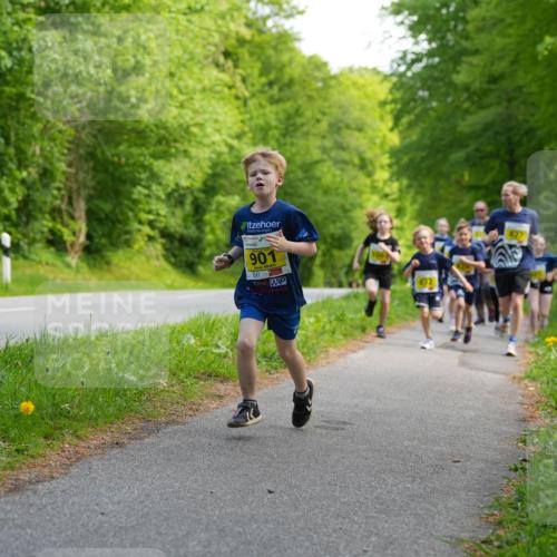 09.05.2026 - Störlauf LAZAROV Photography http://msf.ph/oto/9721024 09.05.2026 14:08:14 Laufen 901, 106, 402 meine-sportfotos.de
