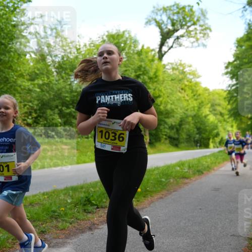 09.05.2026 - Störlauf LAZAROV Photography http://msf.ph/oto/9721089 09.05.2026 14:08:49 Laufen 801, 2026, 1036 meine-sportfotos.de