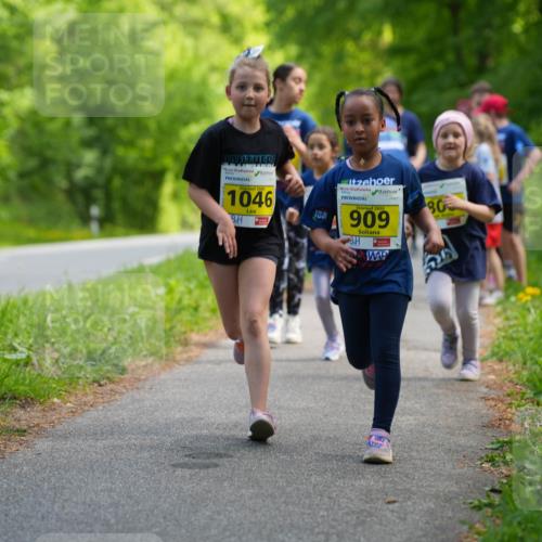 09.05.2026 - Störlauf LAZAROV Photography http://msf.ph/oto/9721107 09.05.2026 14:09:00 Laufen 2016, 1046, 2026, 909 meine-sportfotos.de