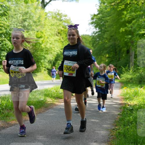 09.05.2026 - Störlauf LAZAROV Photography http://msf.ph/oto/9721155 09.05.2026 14:09:28 Laufen 20, 1056, 2026, 1066, 99, 900 meine-sportfotos.de