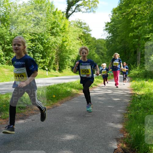 09.05.2026 - Störlauf LAZAROV Photography http://msf.ph/oto/9721164 09.05.2026 14:09:35 Laufen 910, 908, 1073, 913 meine-sportfotos.de