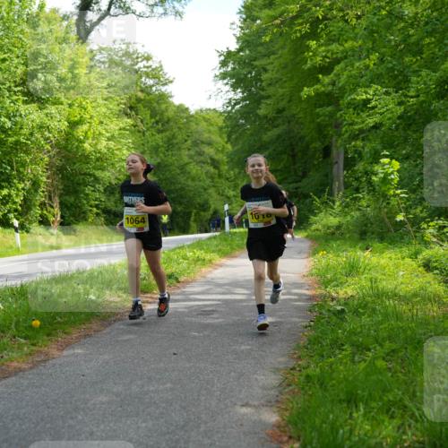09.05.2026 - Störlauf LAZAROV Photography http://msf.ph/oto/9721203 09.05.2026 14:10:08 Laufen 1064, 10 meine-sportfotos.de