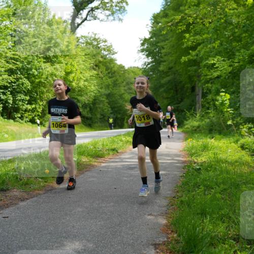 09.05.2026 - Störlauf LAZAROV Photography http://msf.ph/oto/9721204 09.05.2026 14:10:09 Laufen 1064, 1018 meine-sportfotos.de