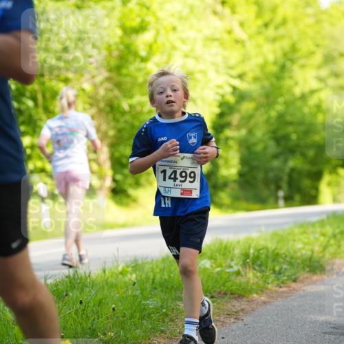 09.05.2026 - Störlauf LAZAROV Photography http://msf.ph/oto/9721282 09.05.2026 14:35:42 Laufen 36, 1641, 2026, 1499 meine-sportfotos.de