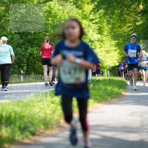 09.05.2026 - Störlauf LAZAROV Photography http://msf.ph/oto/9721342 09.05.2026 14:36:59 Laufen 1510, 1321, 1640, 158, 1665 meine-sportfotos.de
