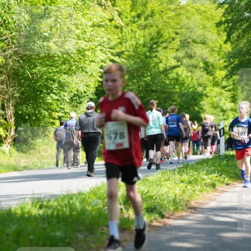 09.05.2026 - Störlauf LAZAROV Photography http://msf.ph/oto/9721411 09.05.2026 14:38:03 Laufen 1537, 72, 1678, 103, 2 meine-sportfotos.de