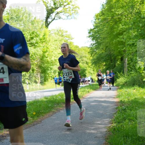 09.05.2026 - Störlauf LAZAROV Photography http://msf.ph/oto/9721424 09.05.2026 14:38:16 Laufen 1494, 1222 meine-sportfotos.de