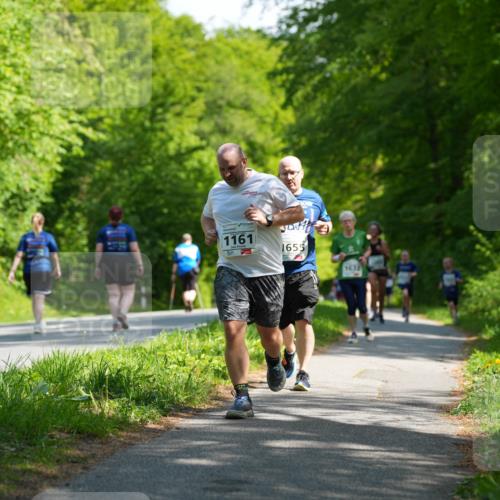 09.05.2026 - Störlauf LAZAROV Photography http://msf.ph/oto/9721451 09.05.2026 14:38:50 Laufen 1161, 1655, 1632 meine-sportfotos.de