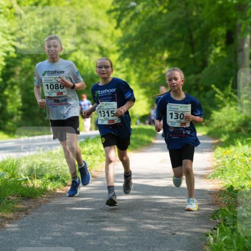 09.05.2026 - Störlauf LAZAROV Photography http://msf.ph/oto/9721463 09.05.2026 14:39:00 Laufen 1086, 1315, 130 meine-sportfotos.de