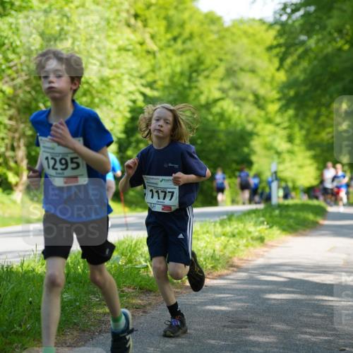 09.05.2026 - Störlauf LAZAROV Photography http://msf.ph/oto/9721472 09.05.2026 14:39:08 Laufen 1295, 2026, 1177 meine-sportfotos.de