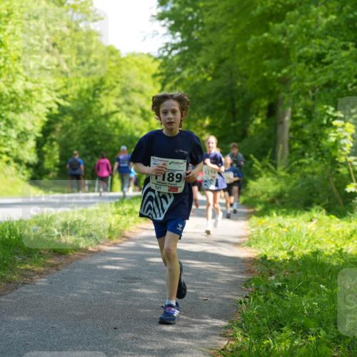 09.05.2026 - Störlauf LAZAROV Photography http://msf.ph/oto/9721486 09.05.2026 14:39:26 Laufen 189, 1210 meine-sportfotos.de