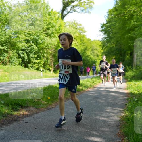09.05.2026 - Störlauf LAZAROV Photography http://msf.ph/oto/9721488 09.05.2026 14:39:27 Laufen 1189, 1210 meine-sportfotos.de