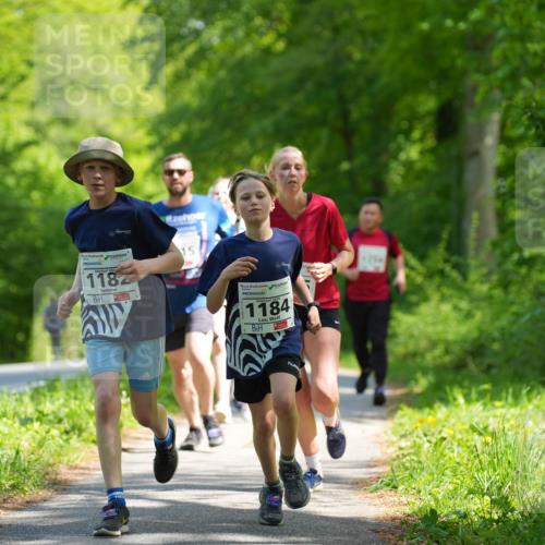 09.05.2026 - Störlauf LAZAROV Photography http://msf.ph/oto/9721510 09.05.2026 14:39:43 Laufen 202, 1182, 15, 1184 meine-sportfotos.de