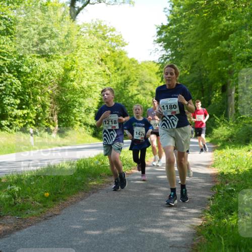 09.05.2026 - Störlauf LAZAROV Photography http://msf.ph/oto/9721541 09.05.2026 14:40:09 Laufen 1218, 731, 1424, 1180 meine-sportfotos.de