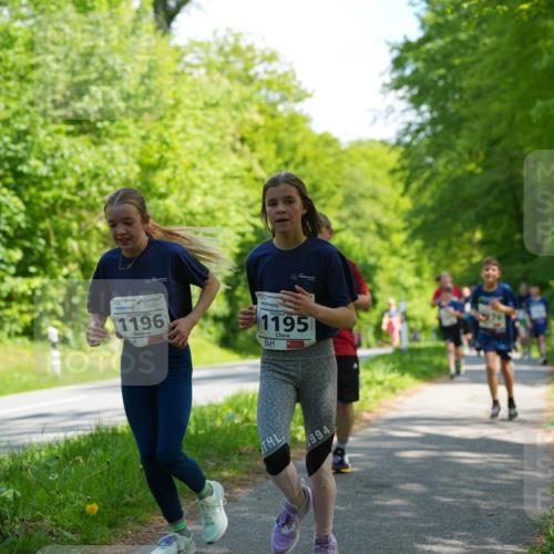 09.05.2026 - Störlauf LAZAROV Photography http://msf.ph/oto/9721567 09.05.2026 14:40:28 Laufen 1196, 1195, 1994 meine-sportfotos.de