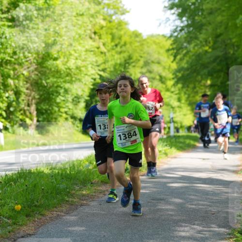 09.05.2026 - Störlauf LAZAROV Photography http://msf.ph/oto/9721573 09.05.2026 14:40:32 Laufen 133, 1384 meine-sportfotos.de
