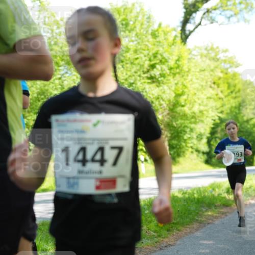 09.05.2026 - Störlauf LAZAROV Photography http://msf.ph/oto/9721593 09.05.2026 14:40:42 Laufen 6, 1447, 193 meine-sportfotos.de