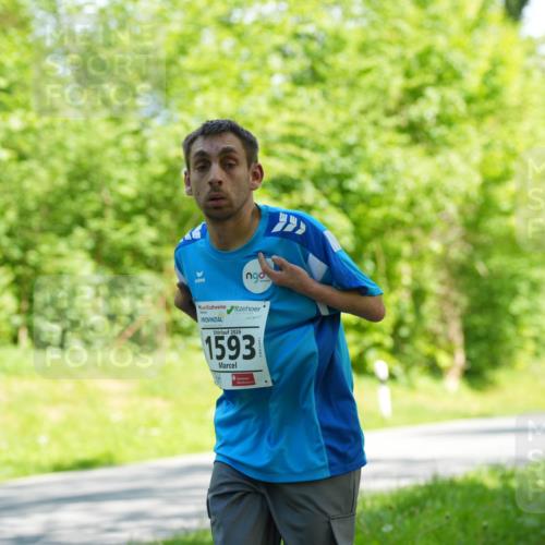 09.05.2026 - Störlauf LAZAROV Photography http://msf.ph/oto/9721676 09.05.2026 14:41:35 Laufen 2026, 1593, 1 meine-sportfotos.de