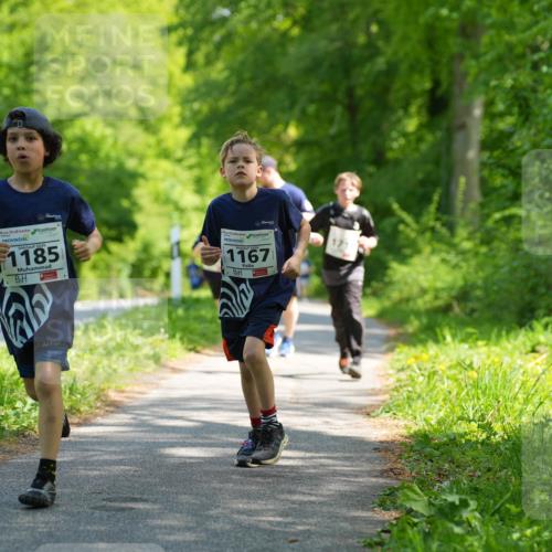 09.05.2026 - Störlauf LAZAROV Photography http://msf.ph/oto/9721714 09.05.2026 14:41:59 Laufen 1185, 1167 meine-sportfotos.de
