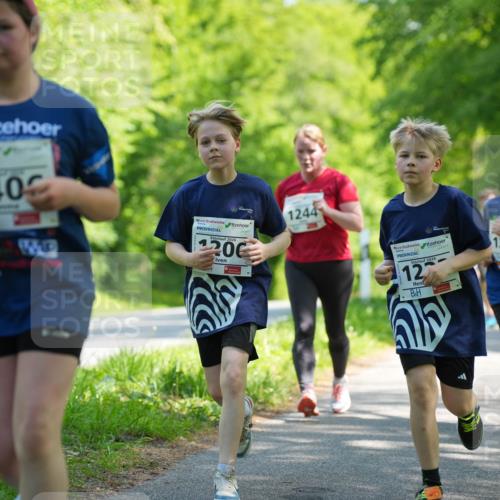 09.05.2026 - Störlauf LAZAROV Photography http://msf.ph/oto/9721786 09.05.2026 14:43:00 Laufen 140, 2026, 20, 1244, 2026, 12, 124 meine-sportfotos.de